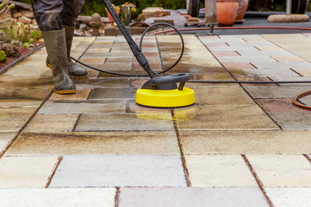 Best Roof Washing  in Roseburg Nth, OR